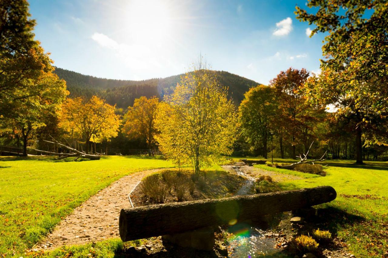 Ferienwohnung Saalhausen Sauerland Lennestadt Bagian luar foto